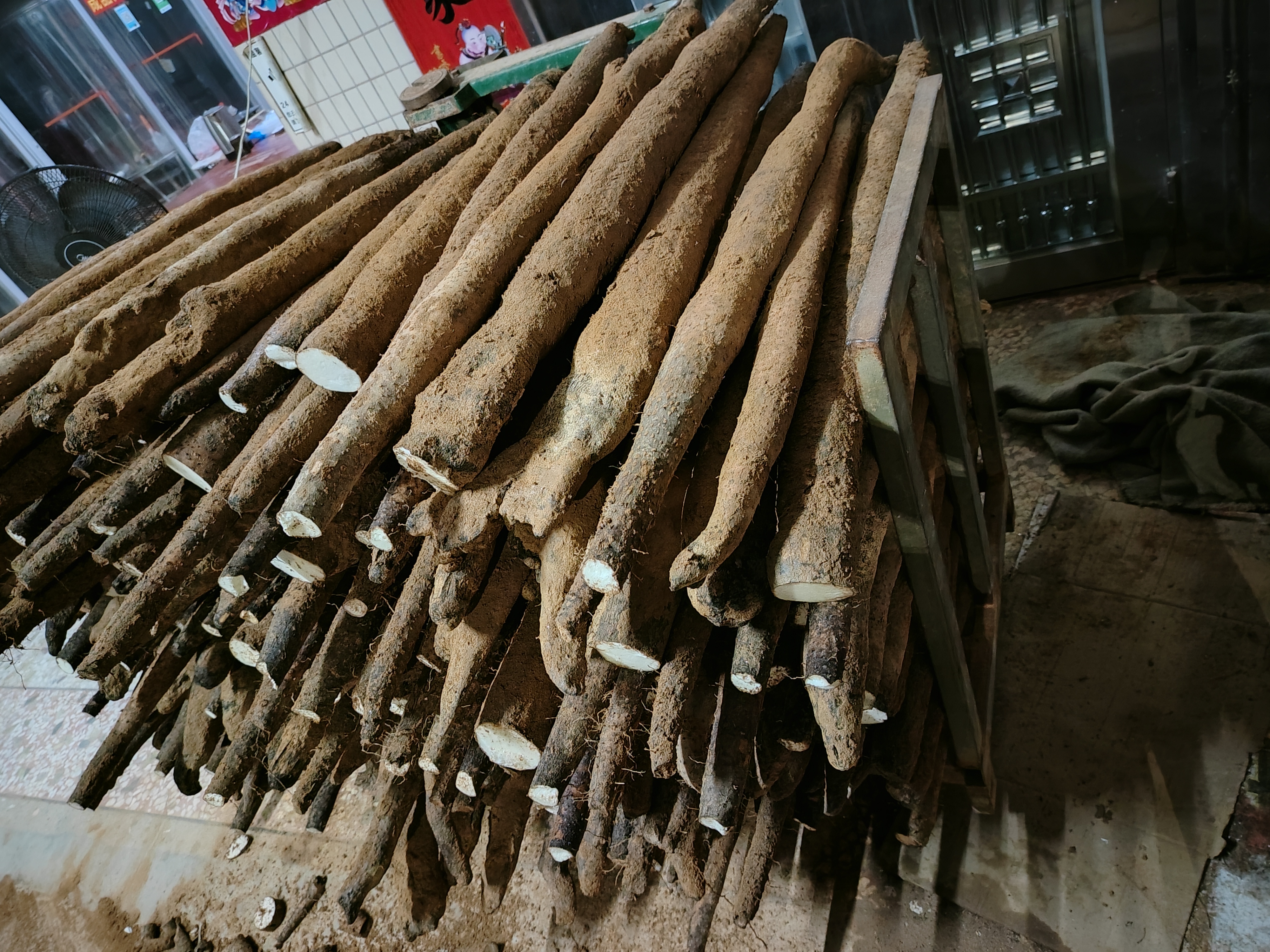 正在用水清洗山药的特写镜头,山药表面还沾有泥土 山药清洗图