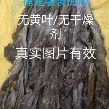 福建特干海带