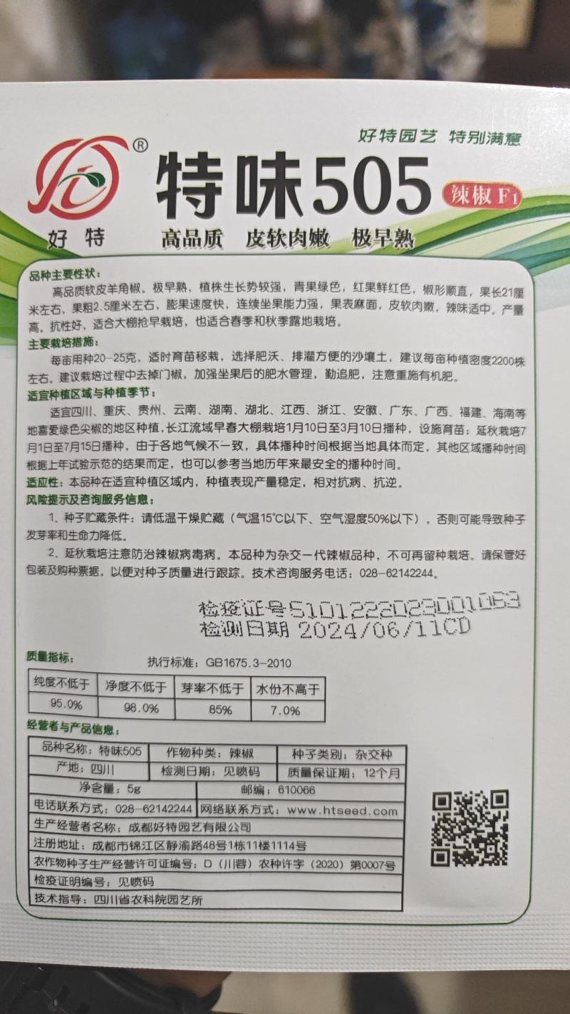 辣椒种子特味505高品质皮软肉嫩极早熟产量高连续采摘