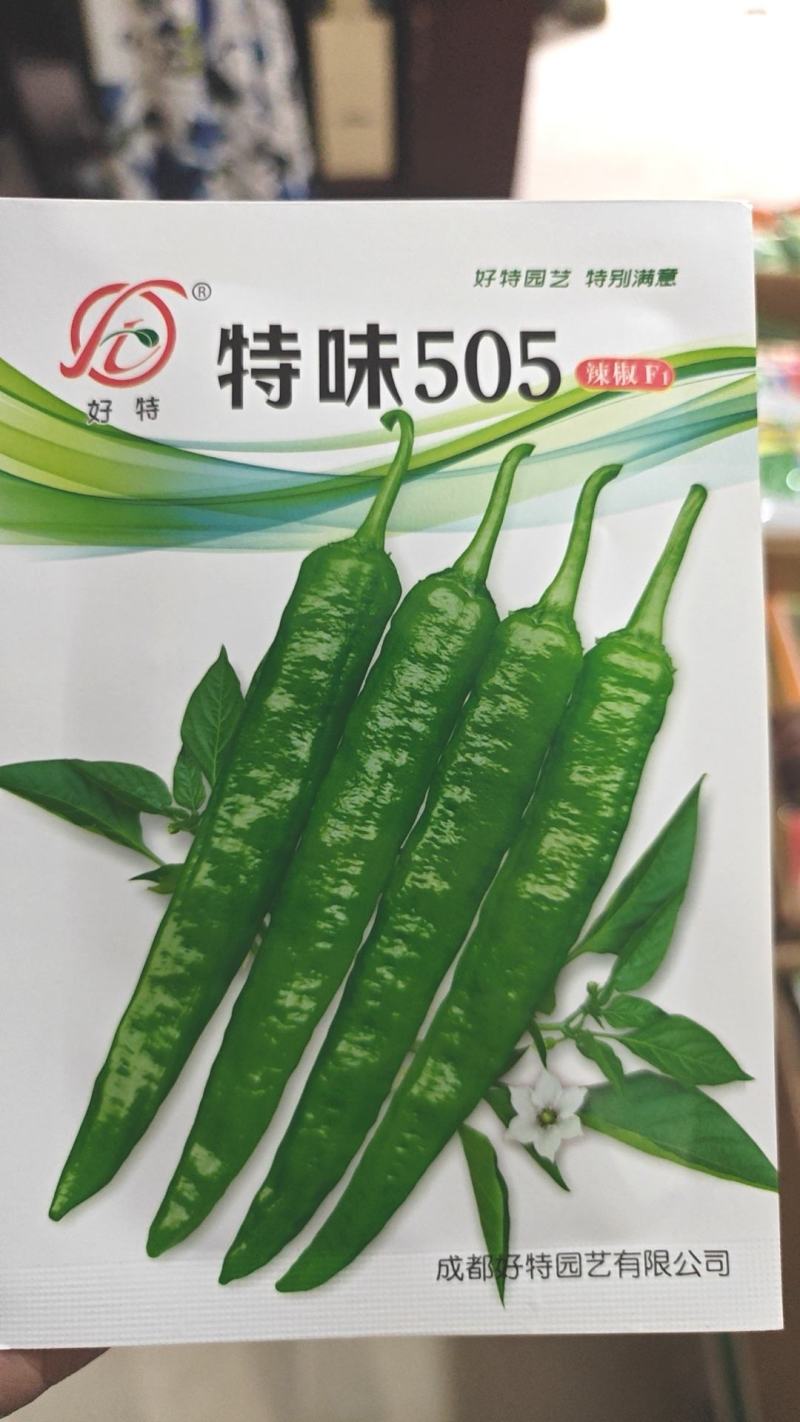 辣椒种子特味505高品质皮软肉嫩极早熟产量高连续采摘