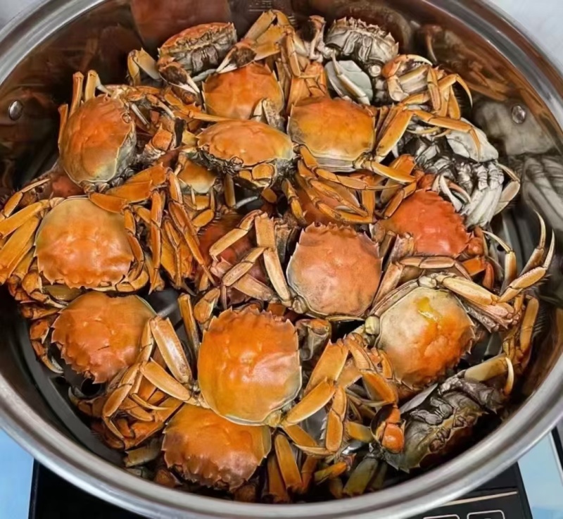 盘锦河蟹大螃蟹大量有货死蟹包赔售后有保证各种规格包肥包黄