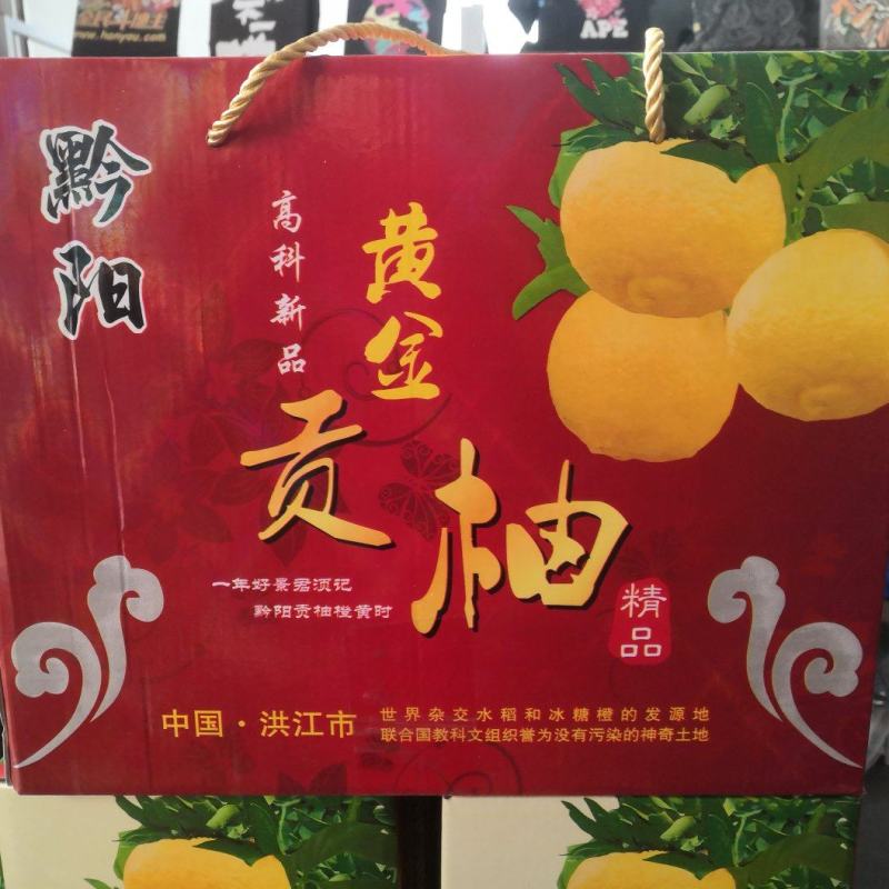 高山黄金贡柚