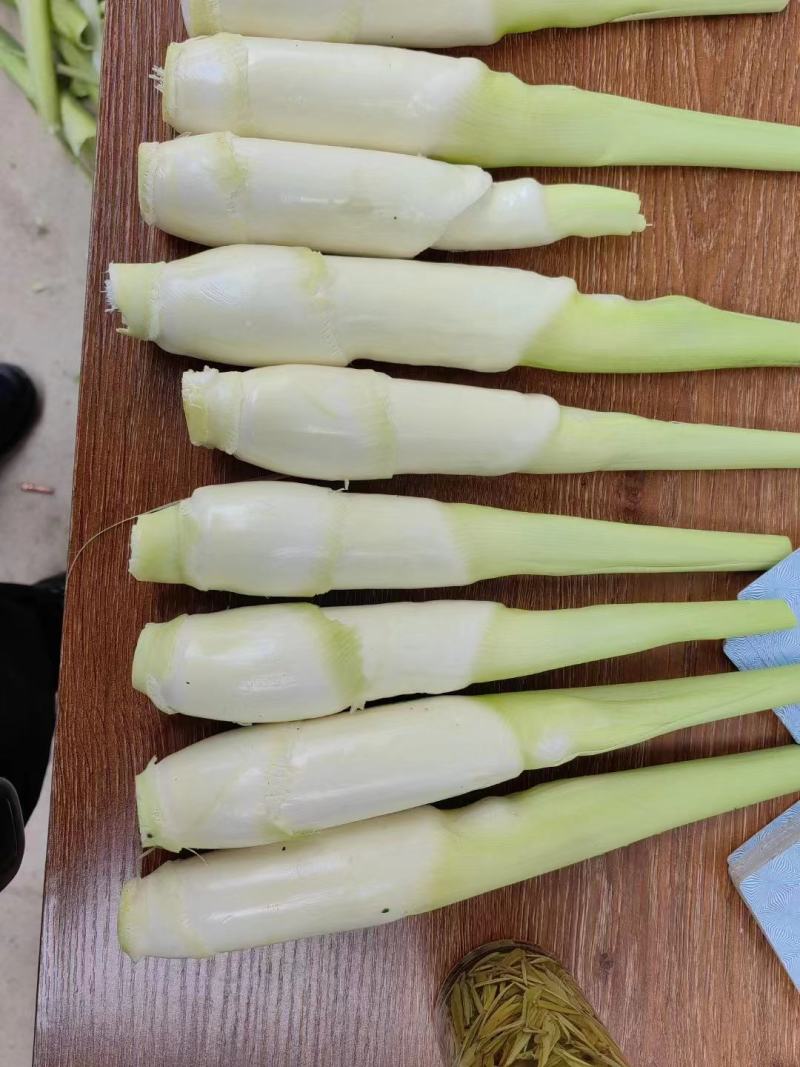 茭白美人茭/四川双季茭白/茭白笋瓜白肉长现货现发保质保量