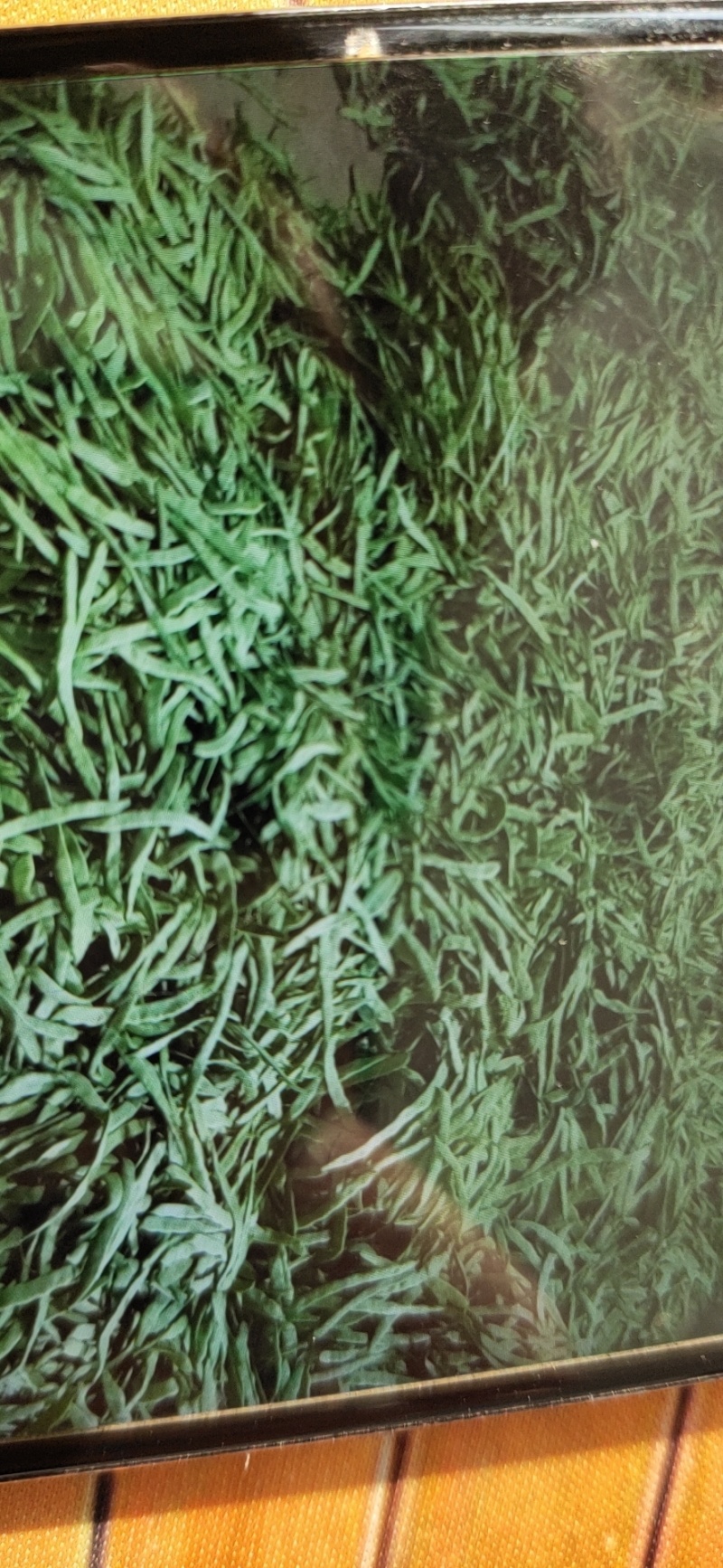 山西应县脱水扁豆产地直供量大质优价格美丽欢迎来电