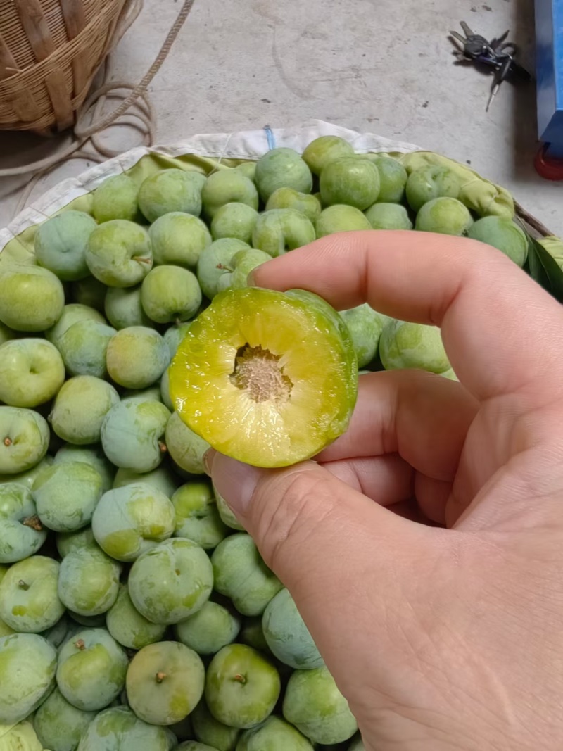 精品青脆脱骨李，大量供应，产地直发，脆甜可口，保质保量