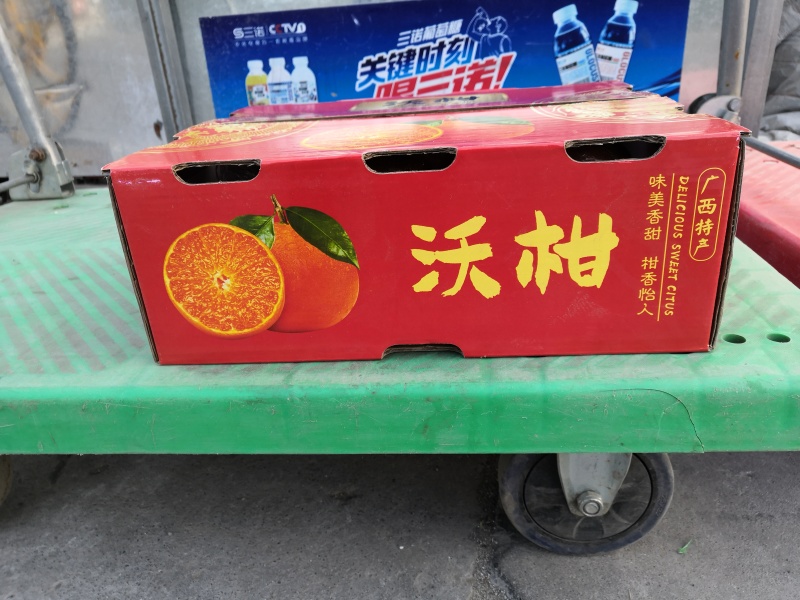 沃柑