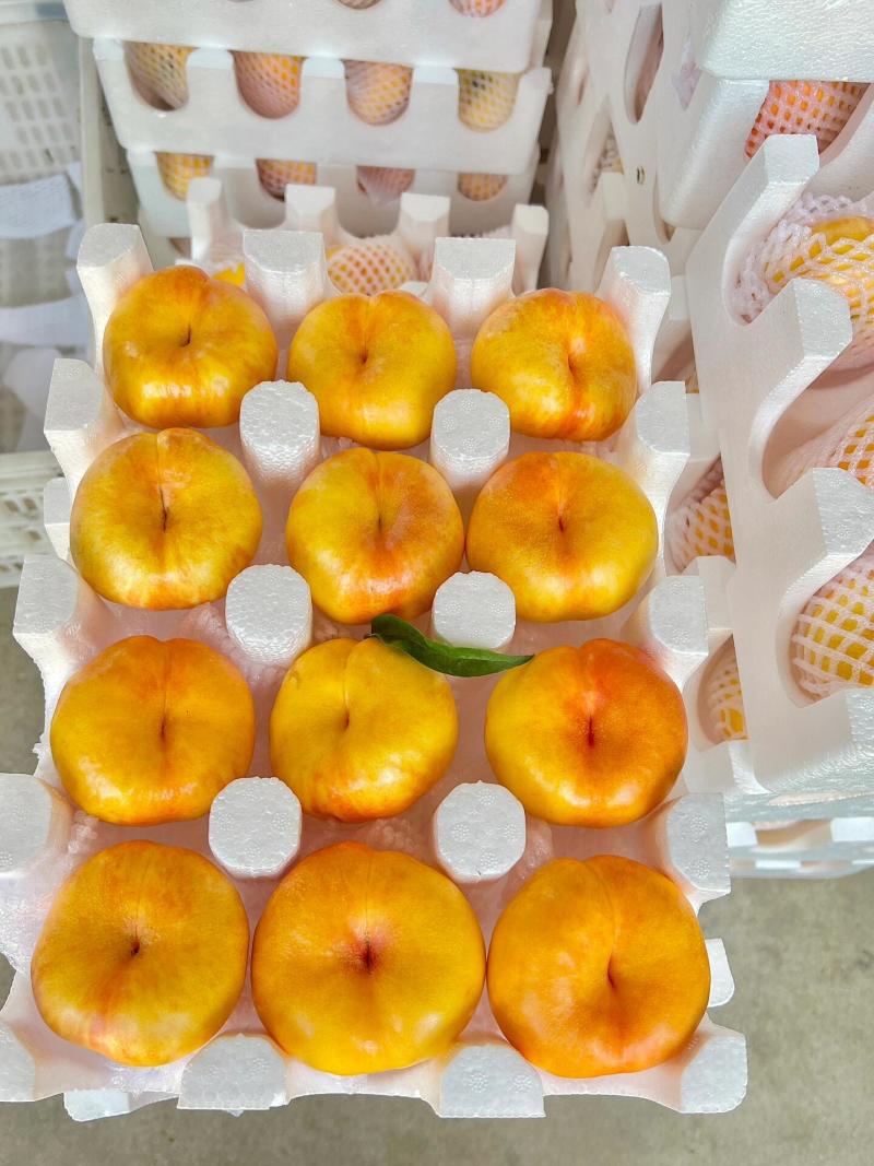 果园桃子对接电商规格齐全欢迎洽谈可提供服务