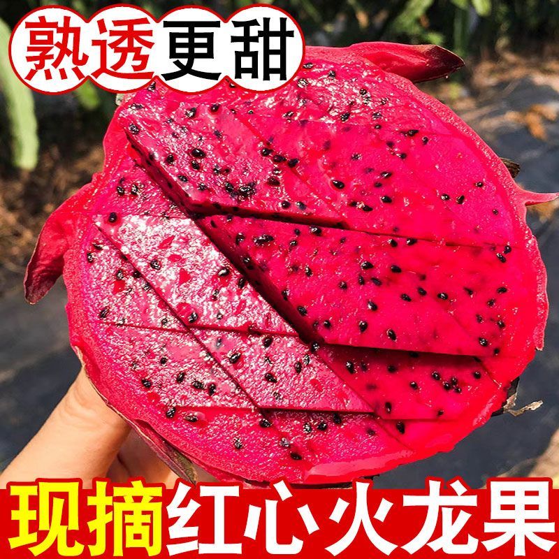 产地种植的金都系列红心火龙果大量上市，长期供货！进店咨询