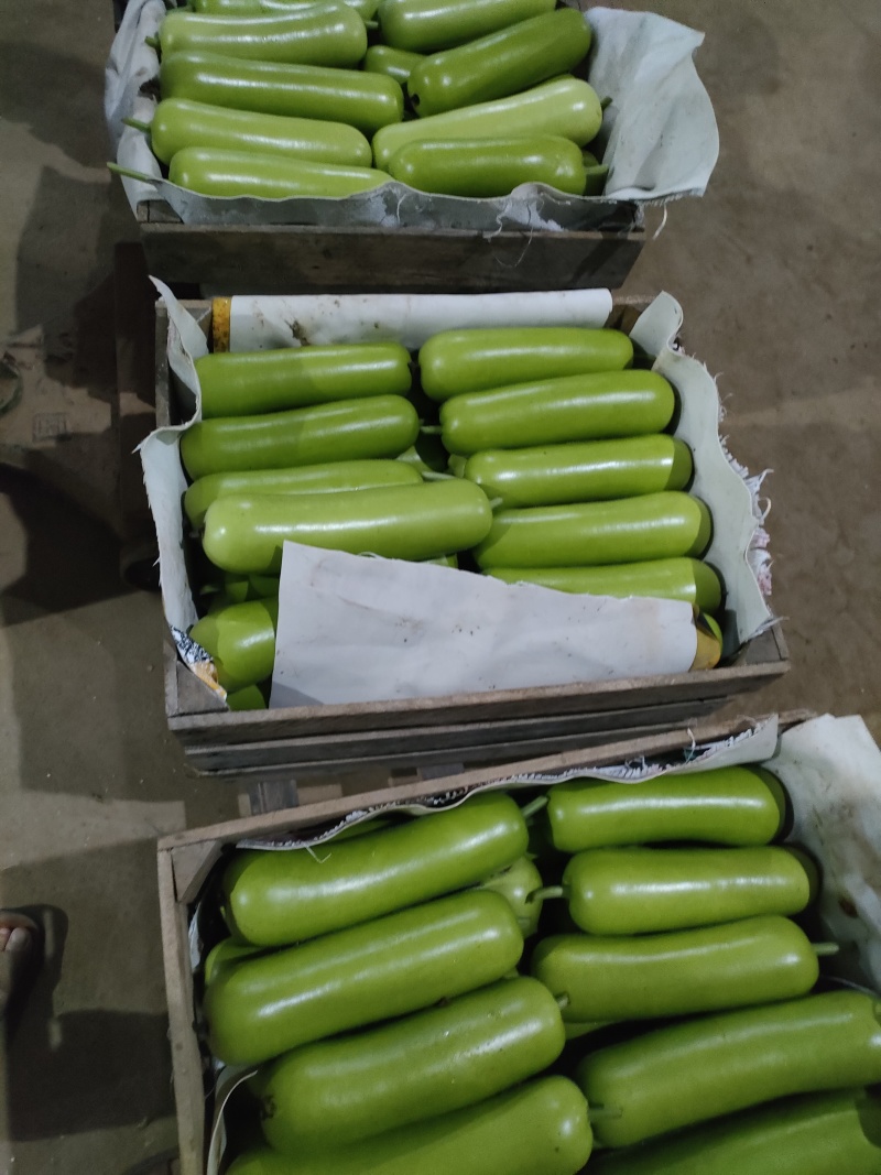 福建南平精品葫芦货量充足，产地直发，诚信第一