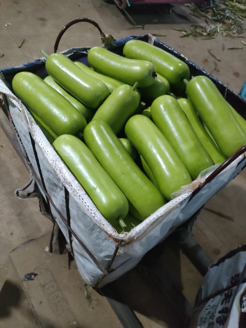 福建南平精品葫芦货量充足，产地直发，诚信第一