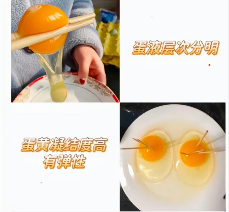 绿壳鸡蛋纯五谷杂粮散养翡翠绿有嚼劲，香气十足每天现捡现发