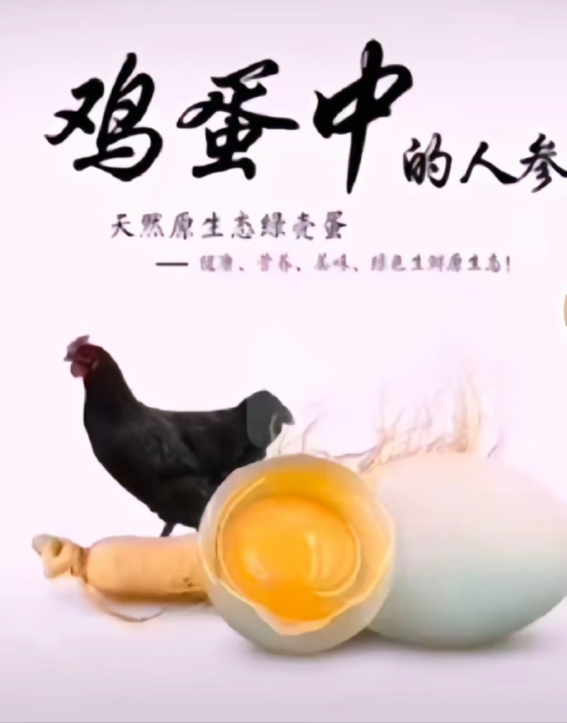 绿壳鸡蛋纯五谷杂粮散养翡翠绿有嚼劲，香气十足每天现捡现发