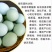 绿壳鸡蛋纯五谷杂粮散养翡翠绿有嚼劲,香气十足每天现捡现发