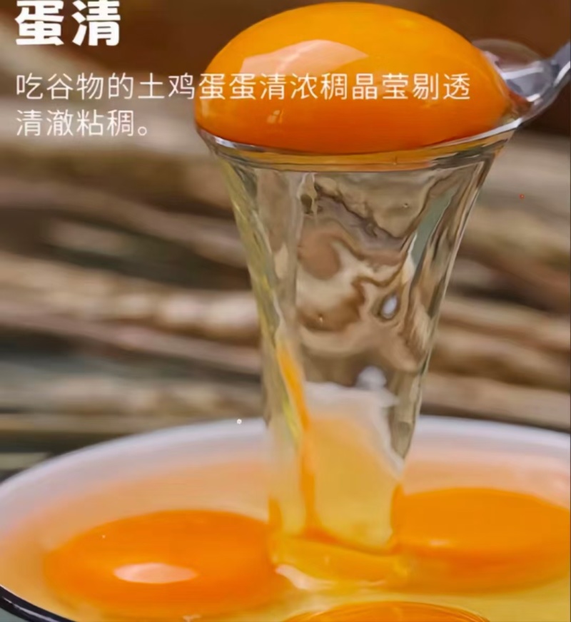 绿壳鸡蛋纯五谷杂粮散养翡翠绿有嚼劲，香气十足每天现捡现发