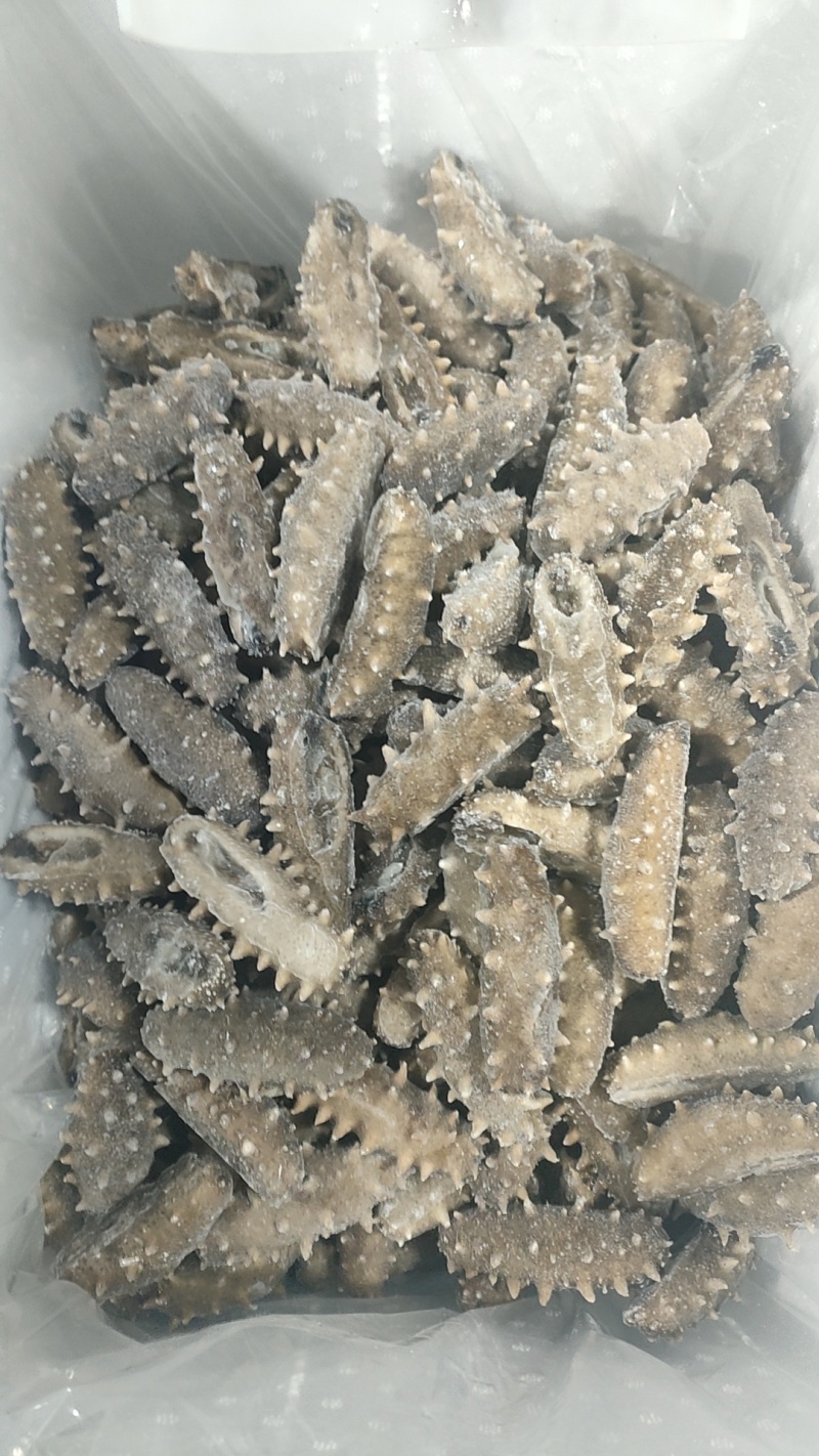即食海参，电商，社区团购爆品。厂家直销，低价供应。