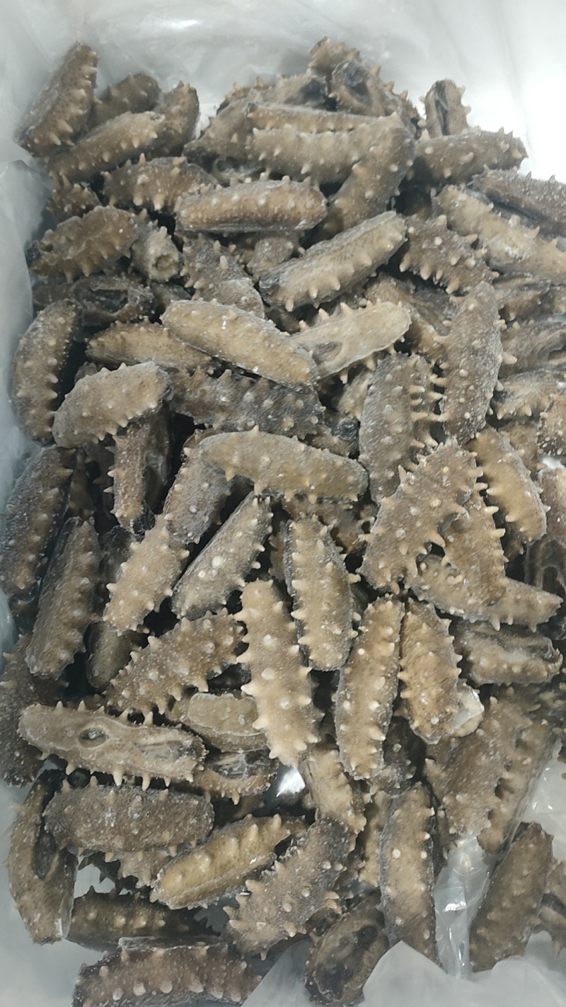 即食海参，电商，社区团购爆品。厂家直销，低价供应。