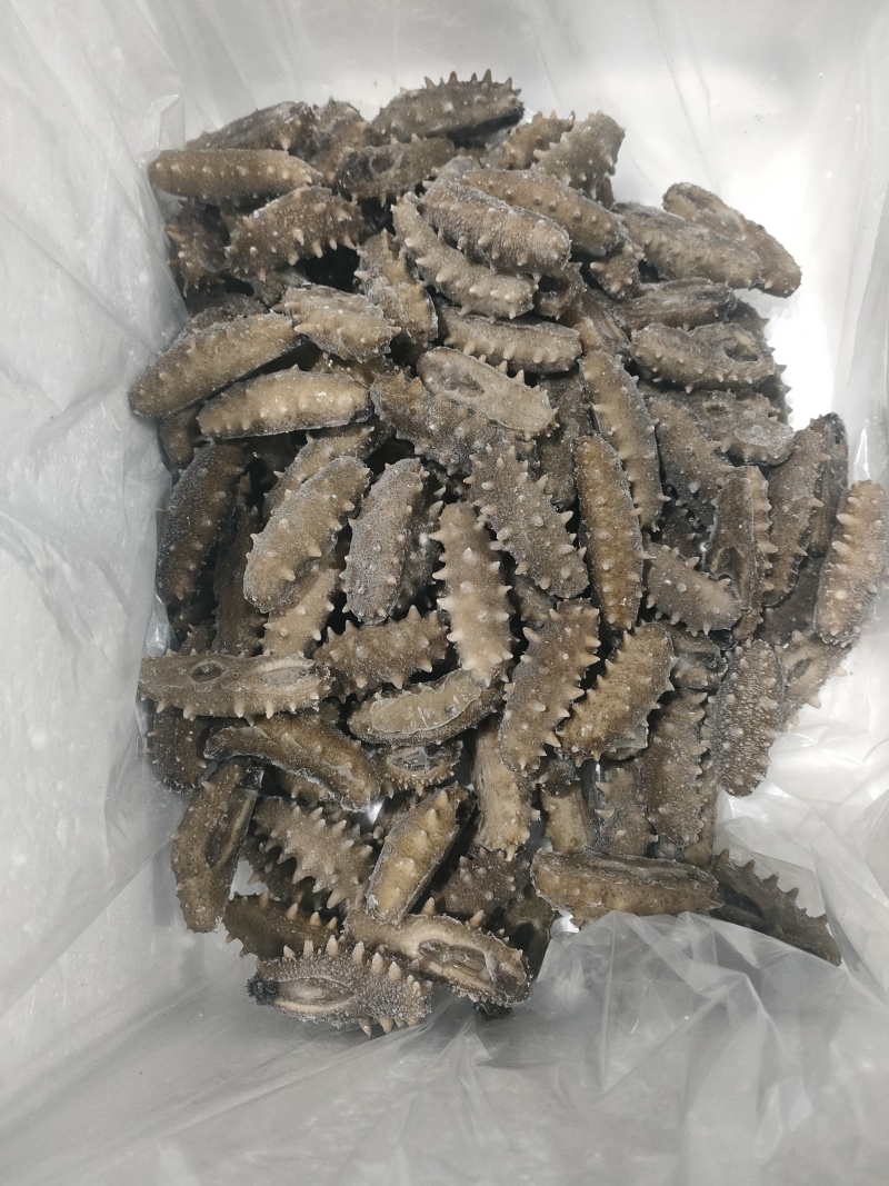 即食海参，电商，社区团购爆品。厂家直销，低价供应。