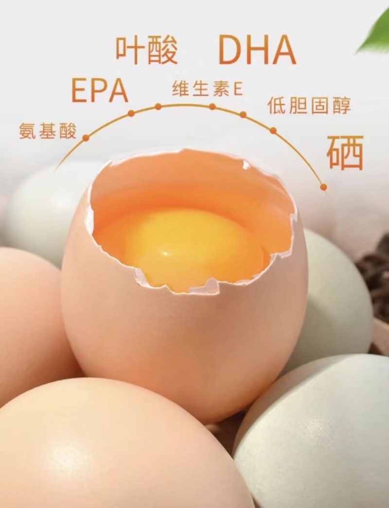 柴鸡蛋蒸煮炒金黄色蛋香味十足产地直发全国包邮