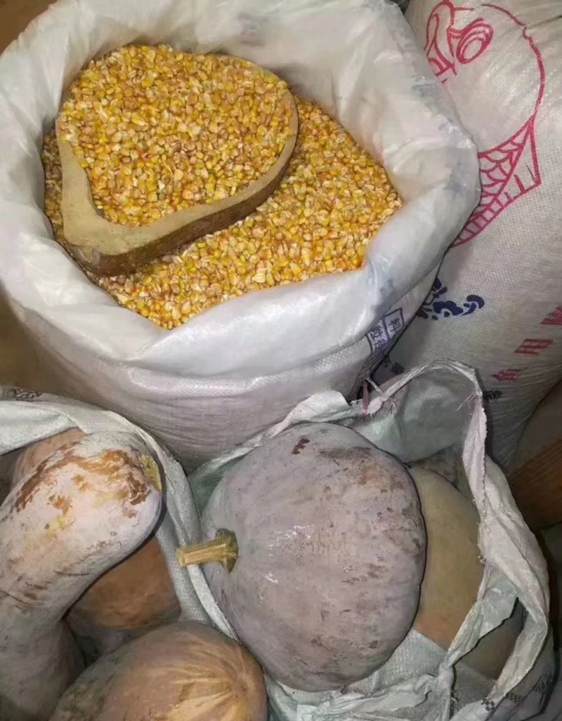 柴鸡蛋蒸煮炒金黄色蛋香味十足产地直发全国包邮