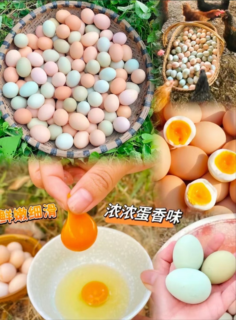 柴鸡蛋蒸煮炒金黄色蛋香味十足产地直发全国包邮