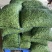 邳州精品大毛豆！绿宝石，，，-翠绿宝大量上市大棚货