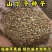 山丁籽-山荆子种子(嫁接各种苹果苗品种、绿化苗专用)