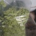 精品韮苔