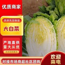 【推荐】精品大白菜包心菜黄心白菜一手货源可视频看货