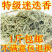 迷迭香正宗新货迷迭香正品新鲜迷迭香自然晒干无硫***批发