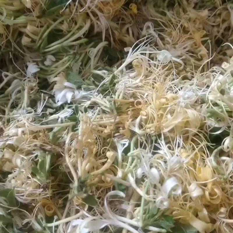 金银花