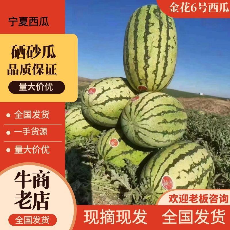 【推荐】宁夏金花6号西瓜代办包熟包甜耐运输量大从优