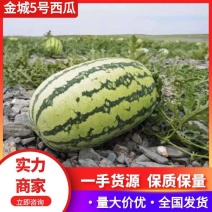 【推荐】宁夏金城5号西瓜代办包熟包甜耐运输量大从优