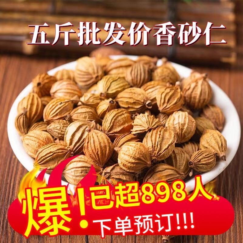 新货云南特产香砂仁大果金砂仁煲汤炖肉汤烧烤调料香料卤料包