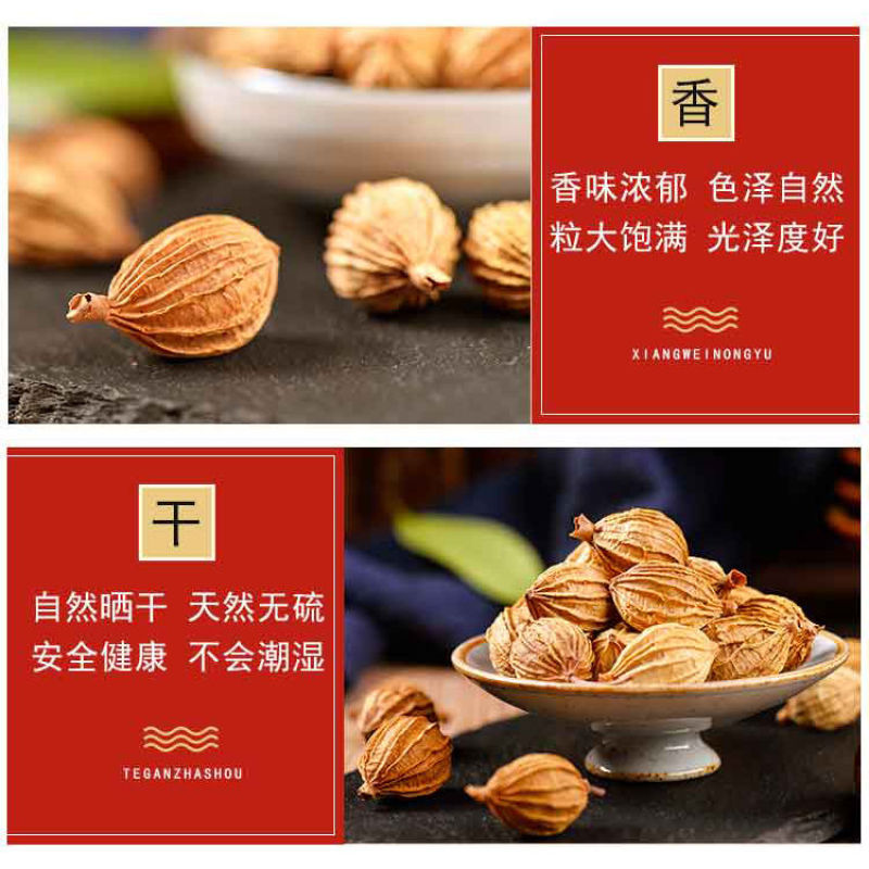 新货云南特产香砂仁大果金砂仁煲汤炖肉汤烧烤调料香料卤料包