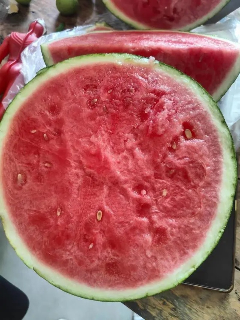 【麒麟西瓜】开封通许精品西瓜大量上市产地直发