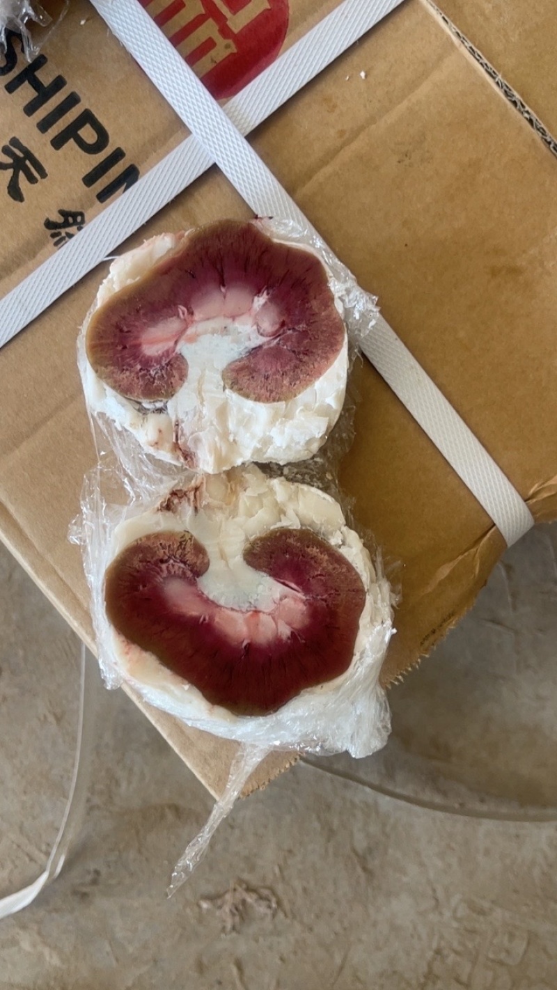 羊腰子原油羔羊现货实拍一手货源