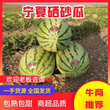 【推荐】宁夏硒砂瓜西瓜代办包熟包甜耐运输量大从优