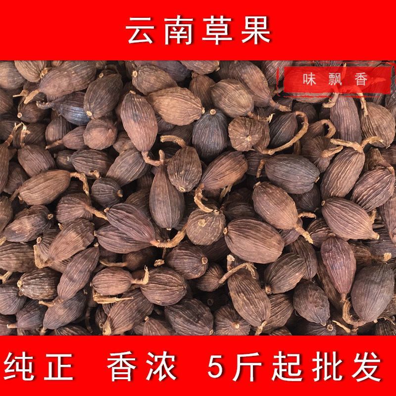 香料大全草果调料卤味肉云南大草果炖肉香料包八角桂皮香叶小