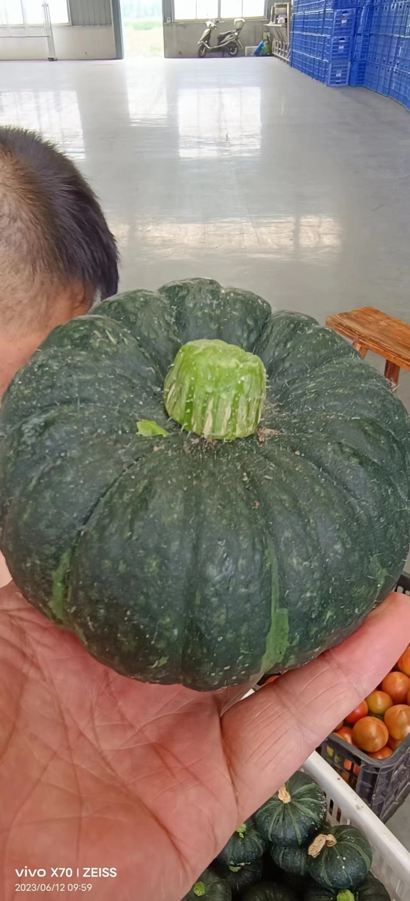 贝贝南瓜，产地看货论价，保值保量，支持视频看货