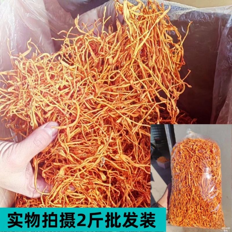 正品虫草花干货整箱批发新鲜虫草花商用餐饮食材无干燥剂品质