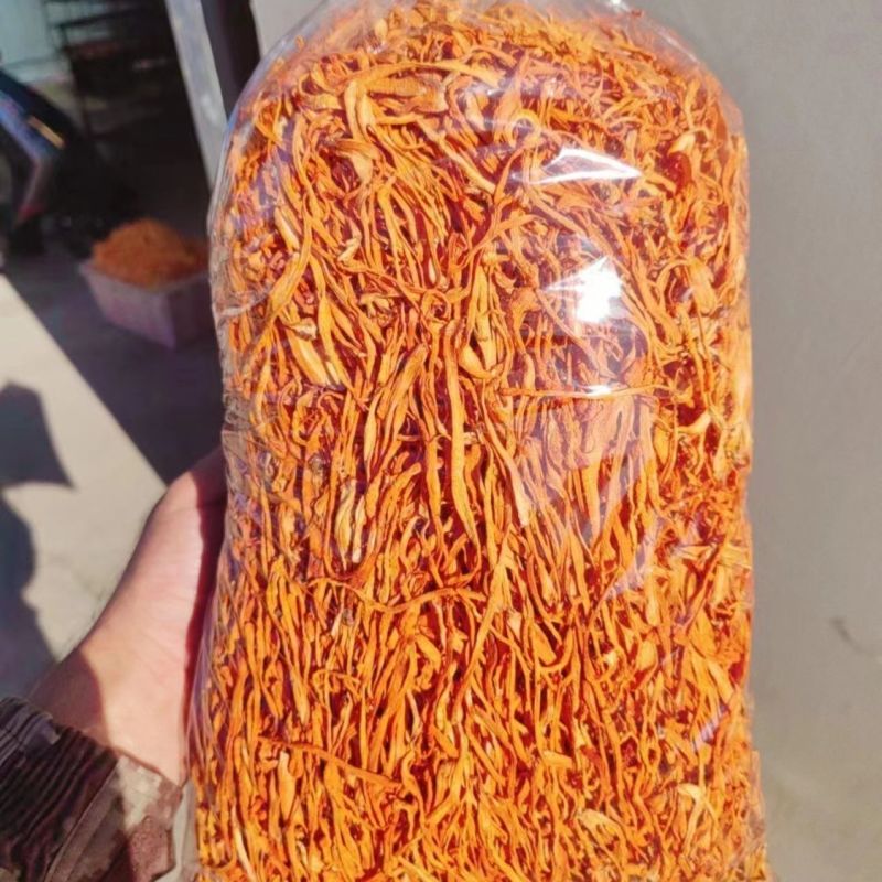 正品虫草花干货整箱批发新鲜虫草花商用餐饮食材无干燥剂品质