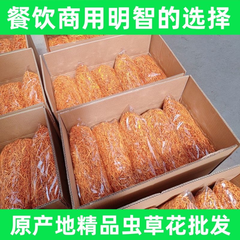 正品虫草花干货整箱批发新鲜虫草花商用餐饮食材无干燥剂品质