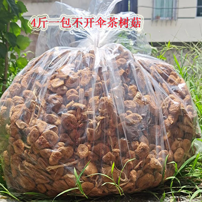 净重茶树菇干货当季新货新鲜4斤10斤散装批发煲汤产商用无