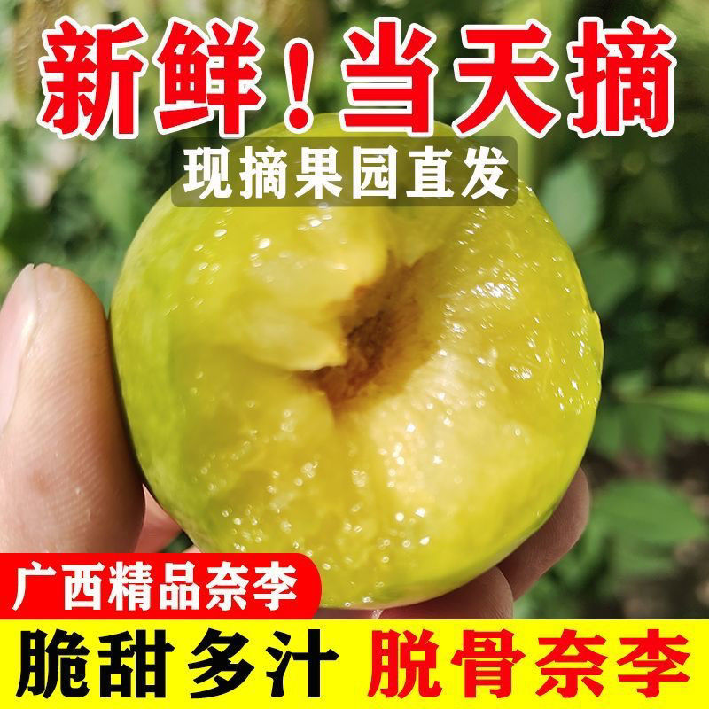脱骨青脆奈李脆甜多汁电商货市场货非红心李三华李