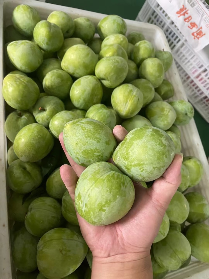 脱骨青脆奈李脆甜多汁电商货市场货非红心李三华李