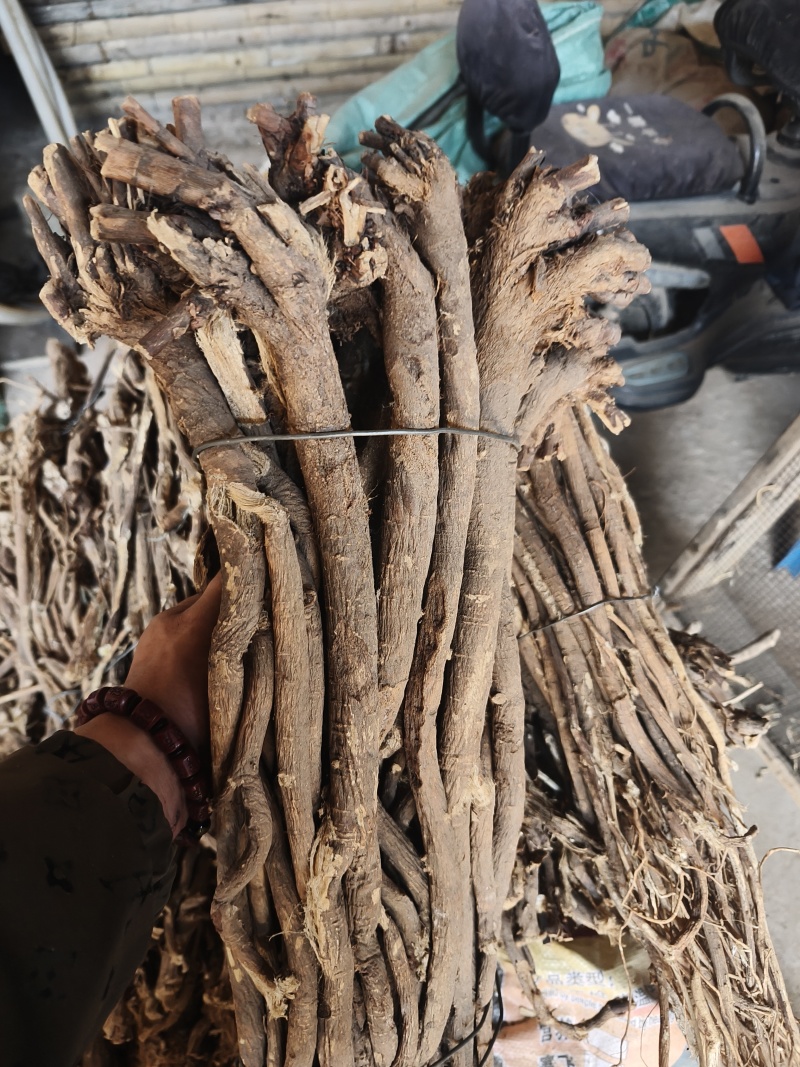 多年生的野生红芪，干货，自然晾晒风干。