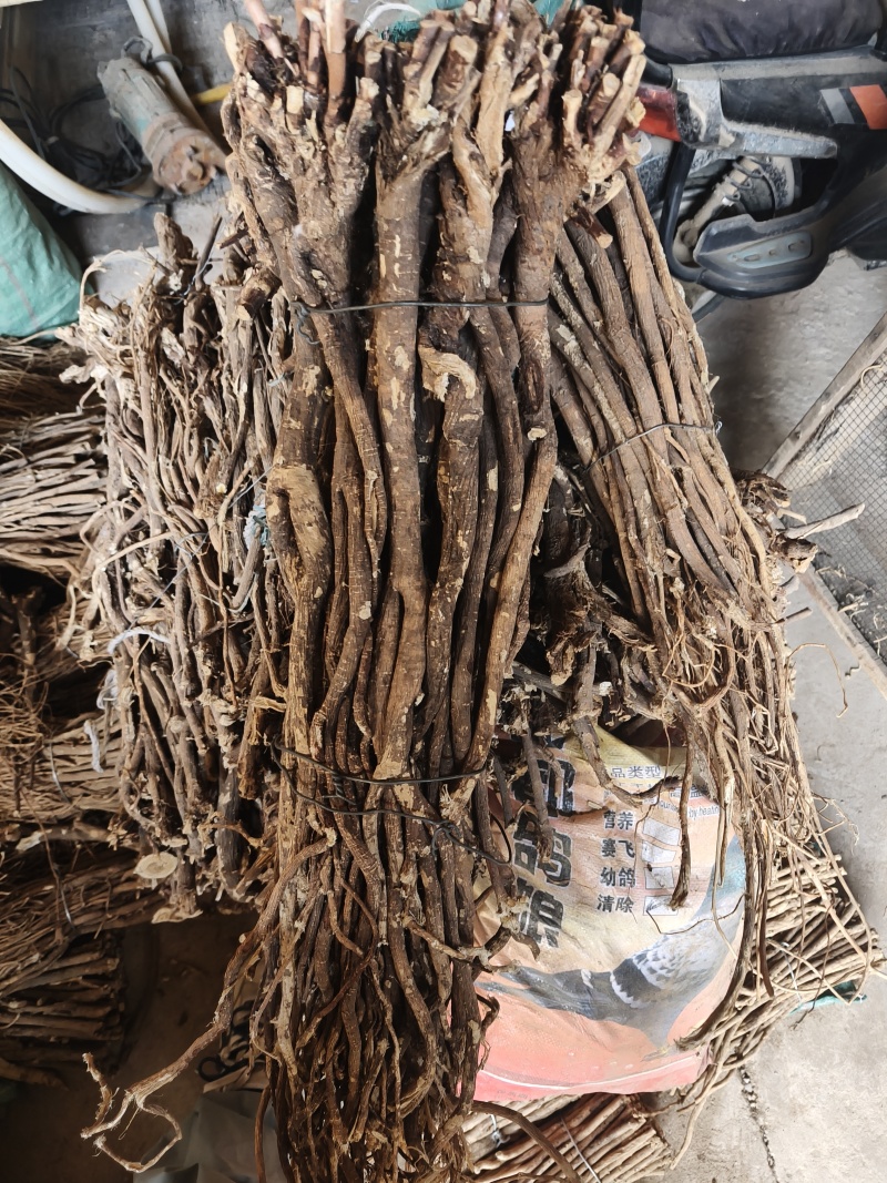 多年生的野生红芪，干货，自然晾晒风干。