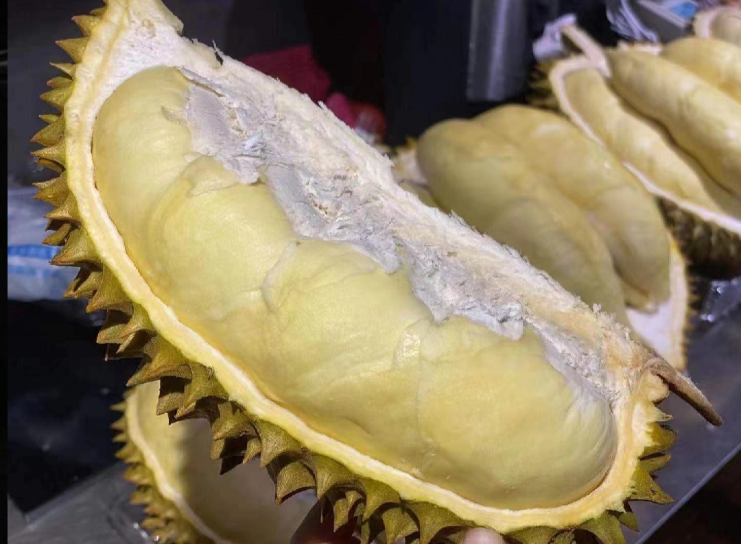 金枕头榴莲果实特写