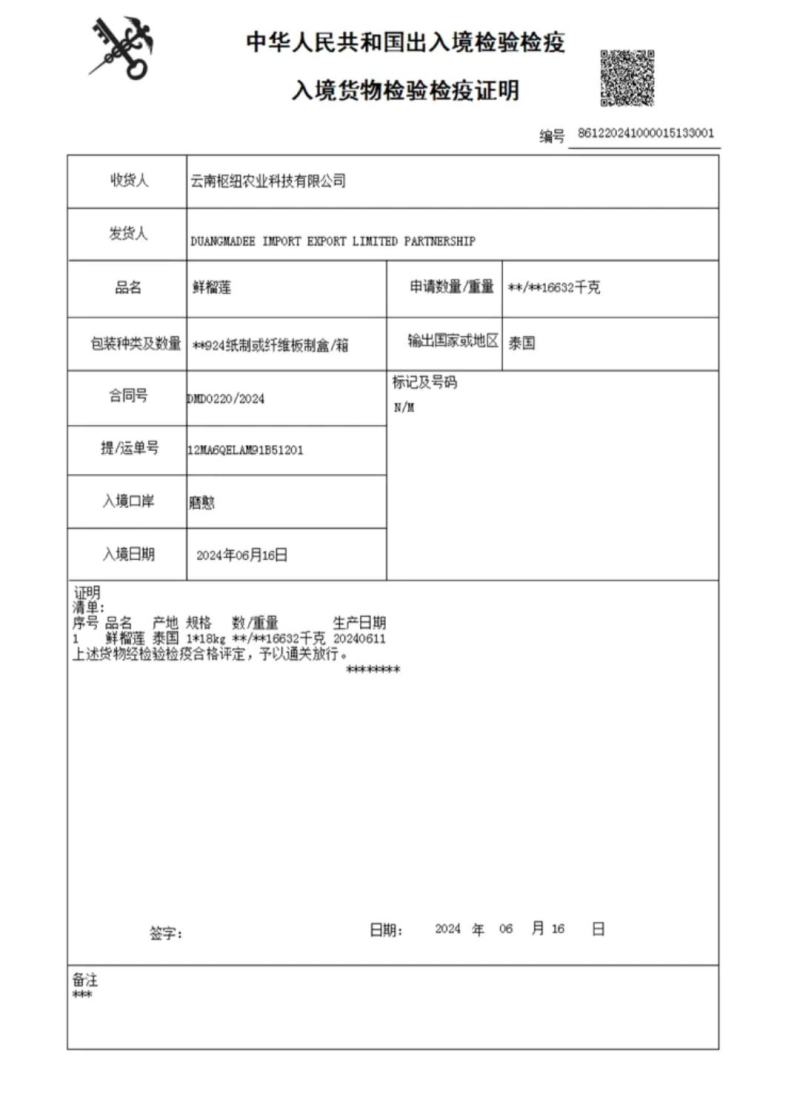 金枕榴莲一手批发价格