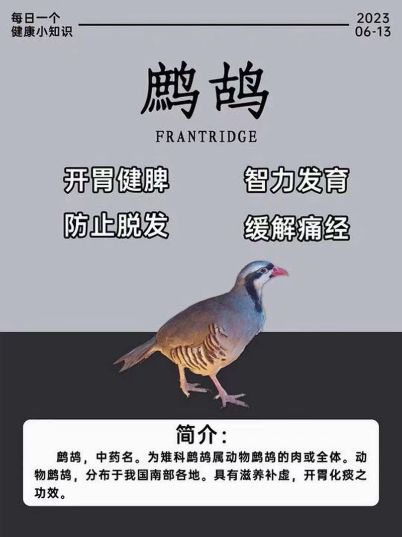鹧鸪鸟7至8两